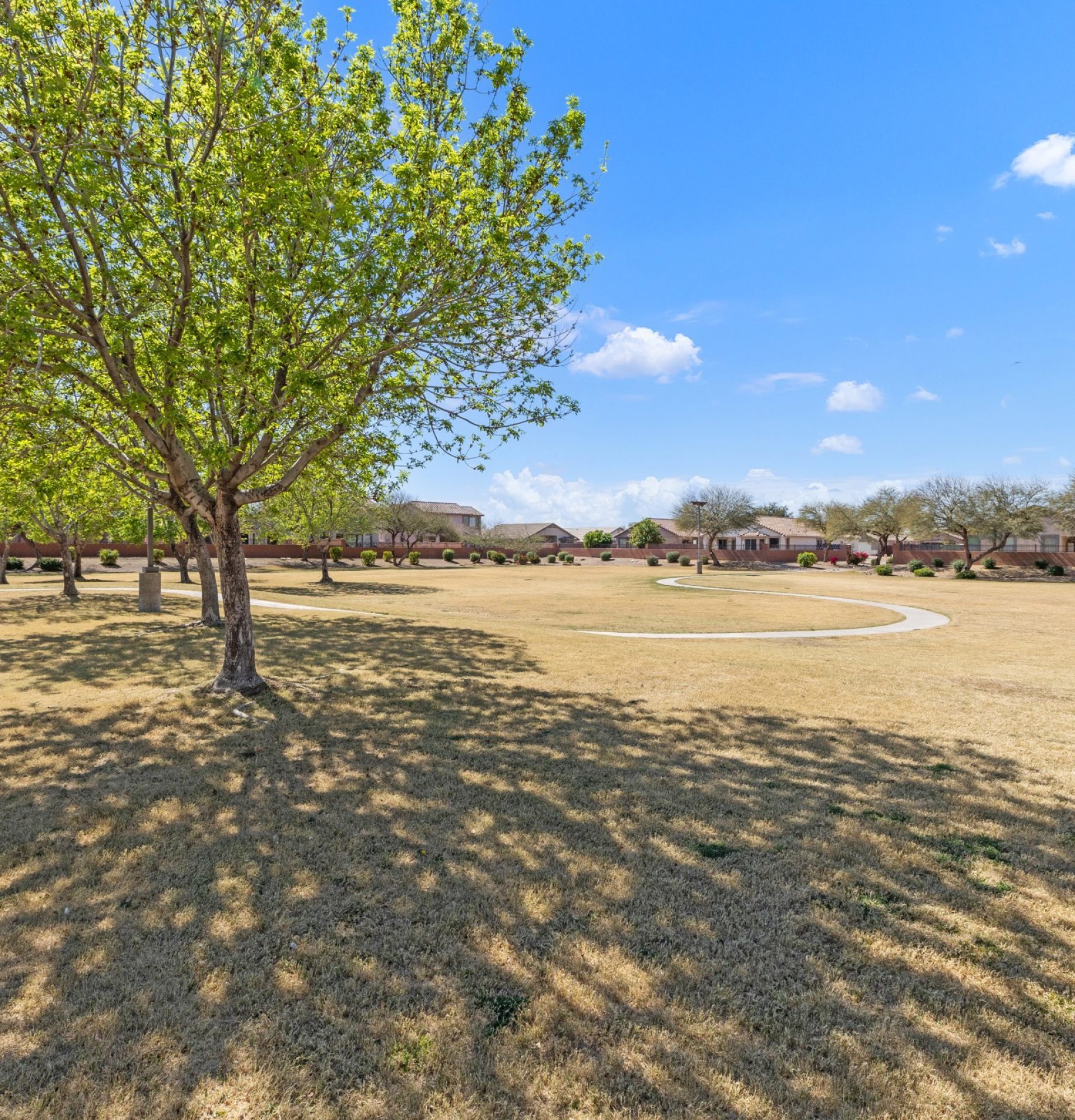 Aerial view of 845 S Cerise in Mesa, AZ, showing the home's position directly adjacent to a large green community park with walking paths, mature trees, and a gazebo in the gated La Fortina neighborhood.
